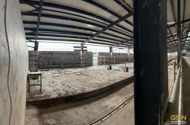 24-GSN GAYRİMENKUL'DEN AVRUPA STANDARTLARINDA RUHSATLI BESİÇİFTLİĞİ